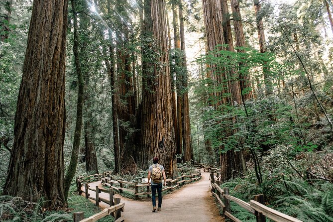 Muir Woods Tour Options