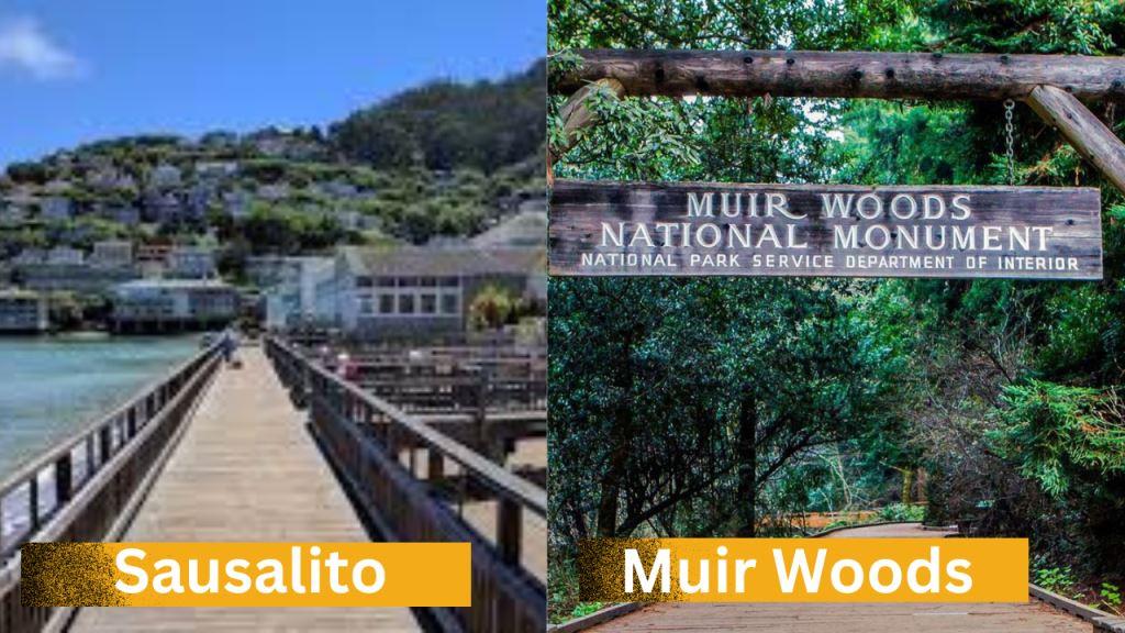 Muir Woods and Sausalito small-group tour