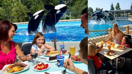 Dine with Orcas at SeaWorld San Diego