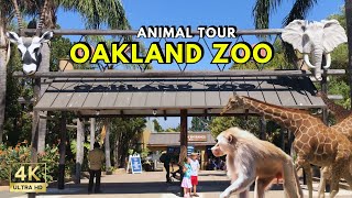 Wonders of the Oakland Zoo