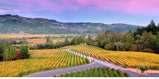 Napa Valley