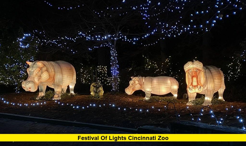 Festival of Lights Cincinnati Zoo