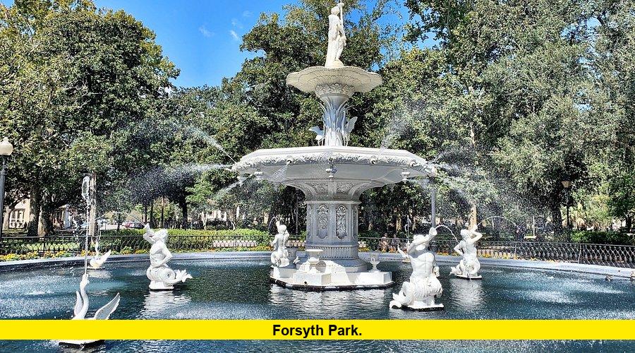 Forsyth Park.