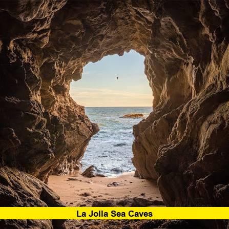La Jolla sea caves